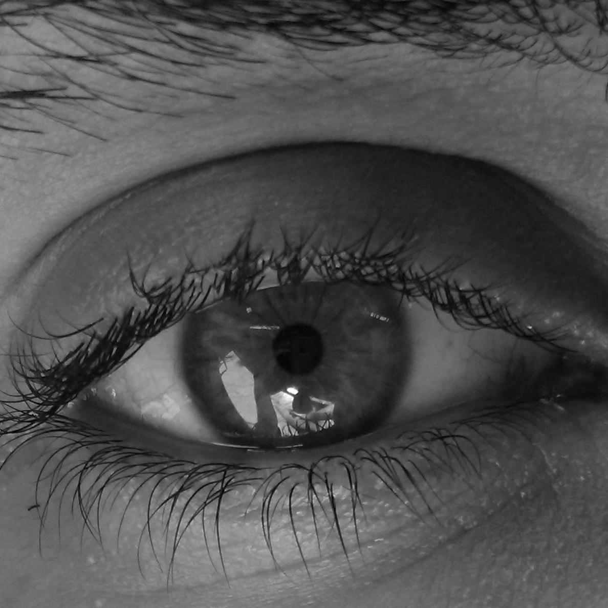 Go to Alejandro Cisneros Delevaux's profile