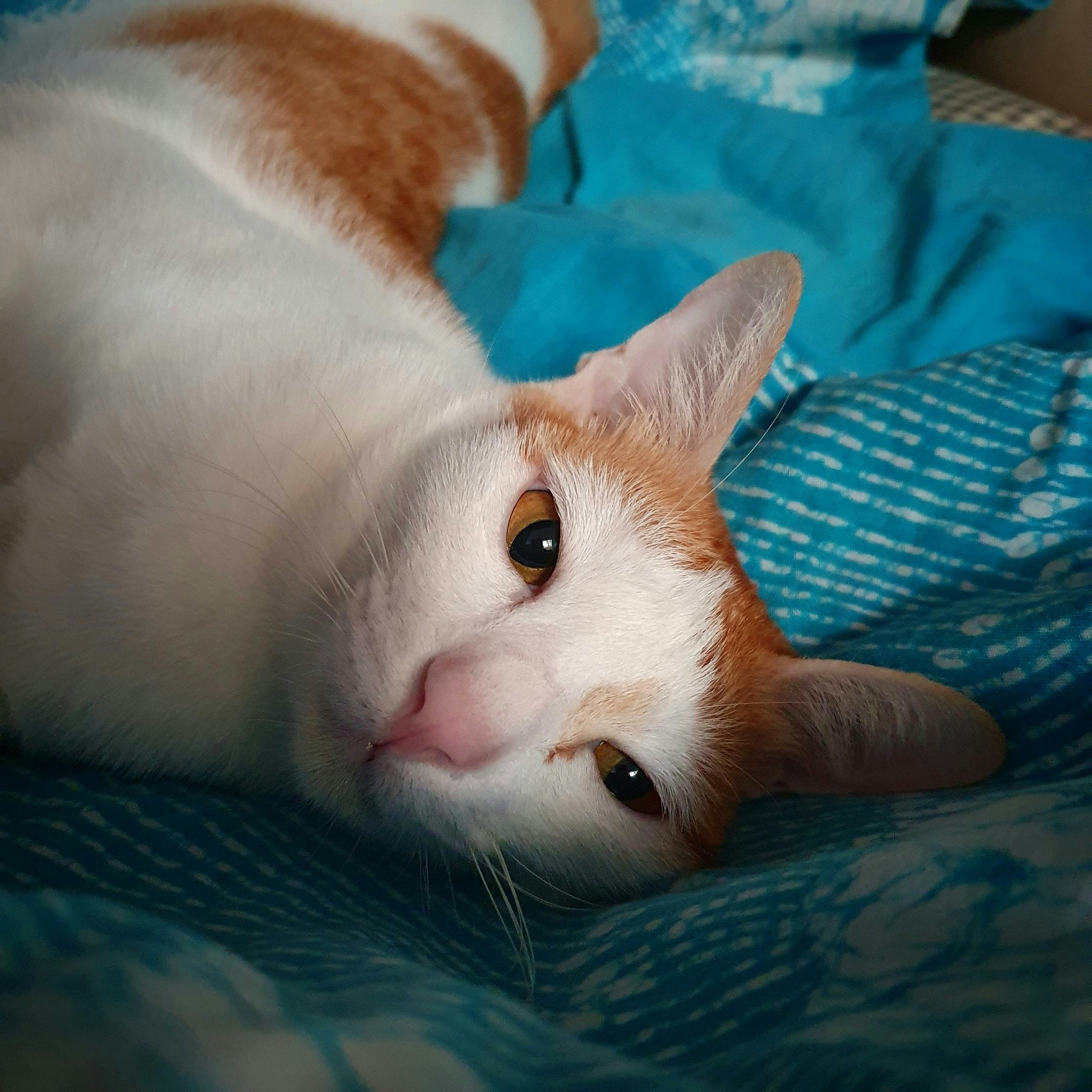 Go to Payoon Gerinto's profile