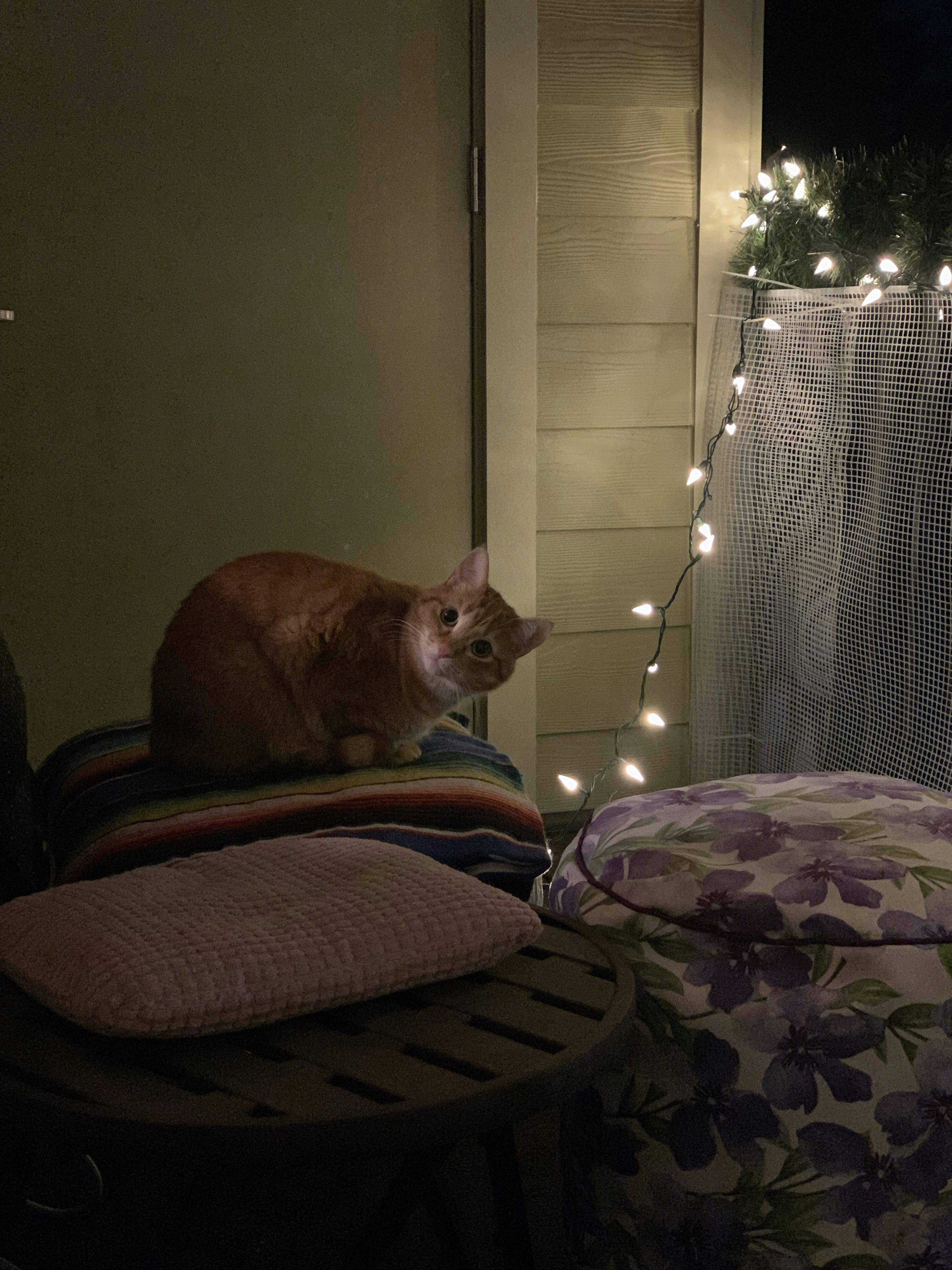 Go to Laura Matthews's profile