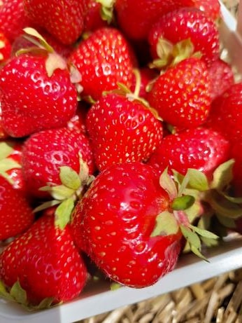 Go to Victoria Miroshnychenko's profile