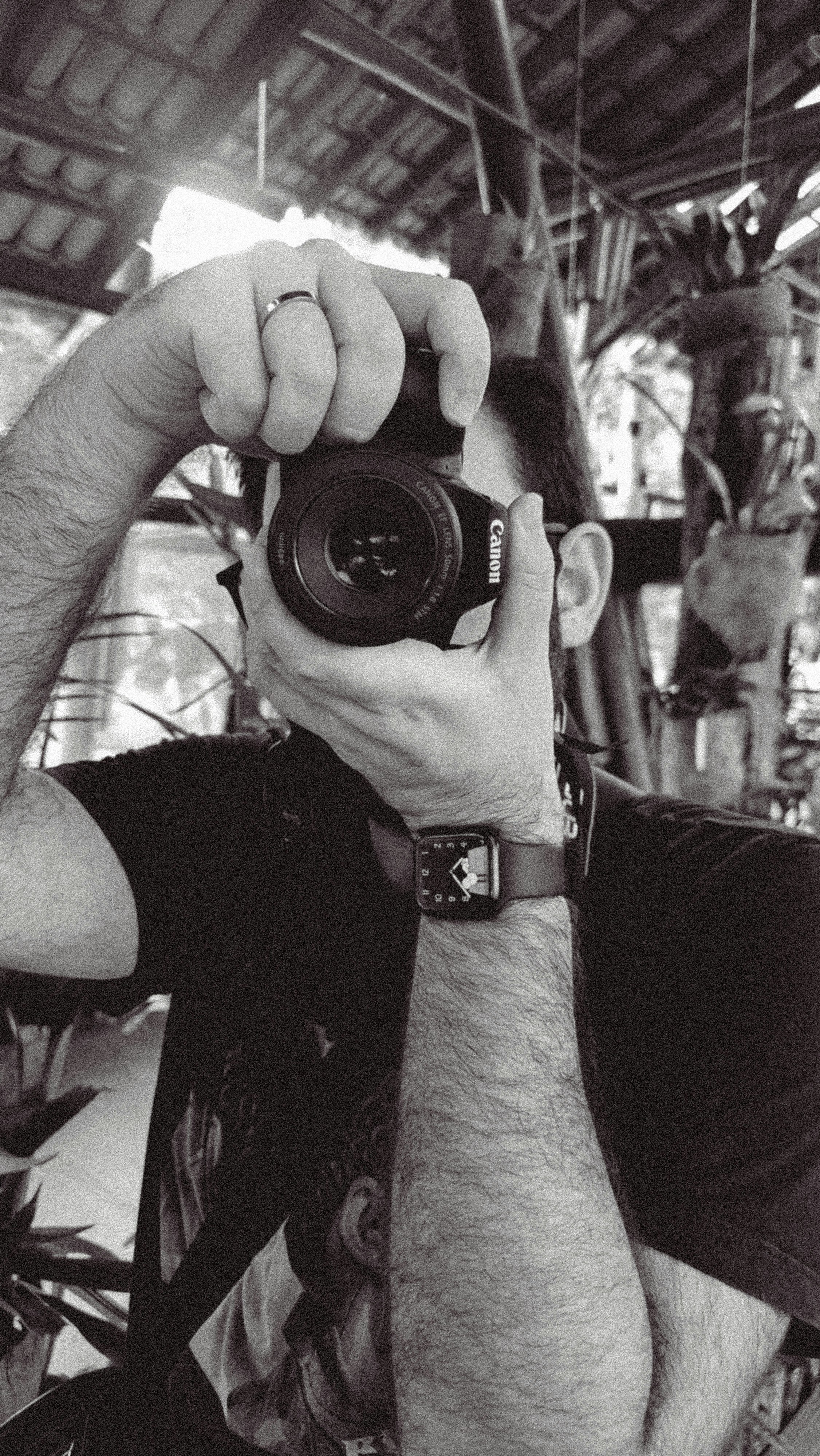 Go to Fernando Bento's profile