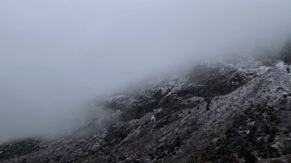 Vai al profilo di Dimitri Jablokov