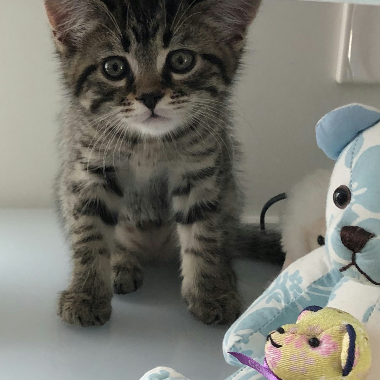 Go to Takudo Nishio's profile