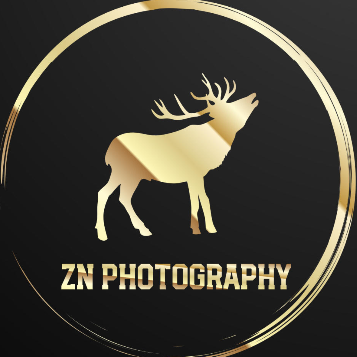 Go to Z N's profile
