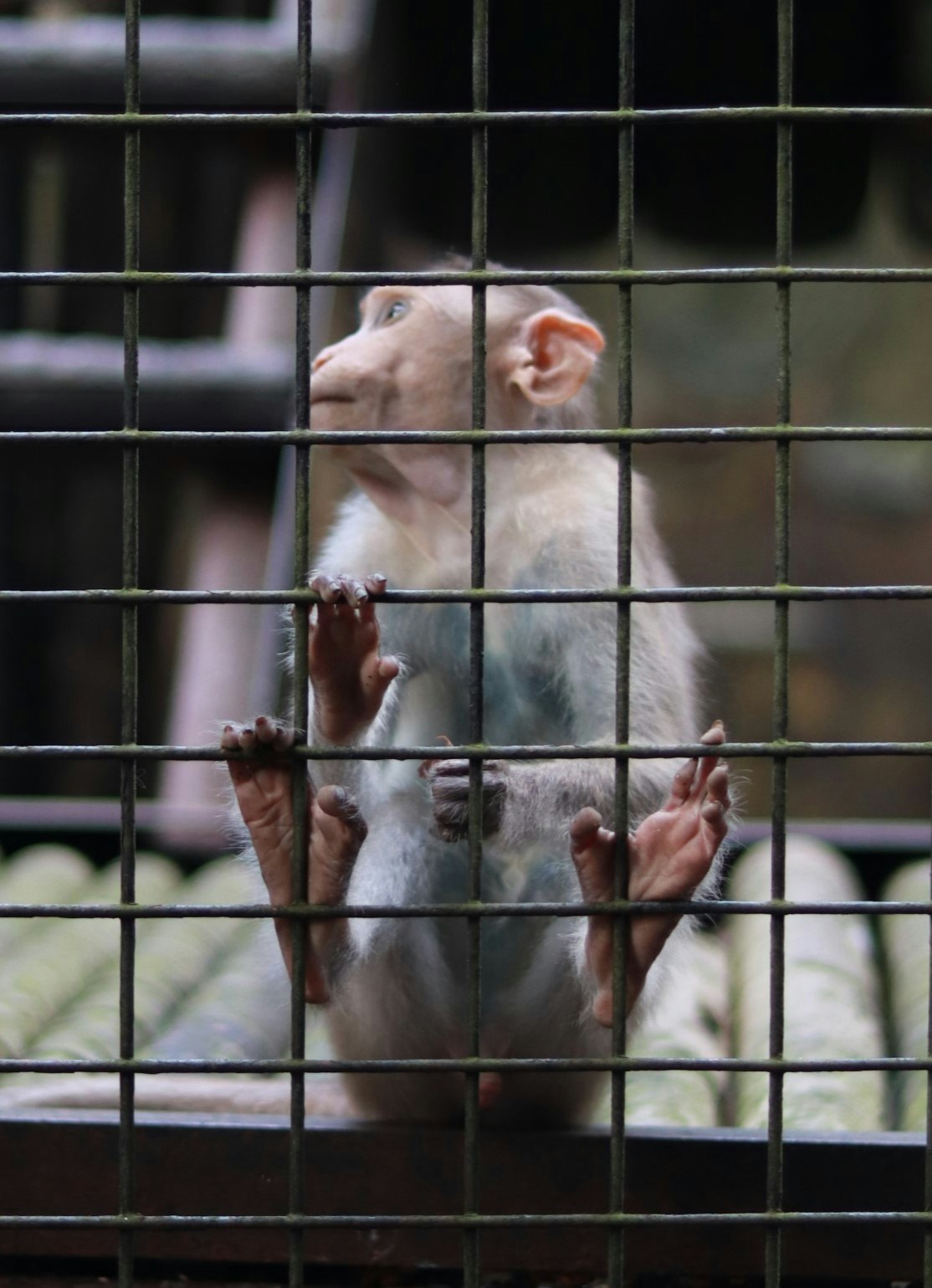 Go to Devin Woody's profile