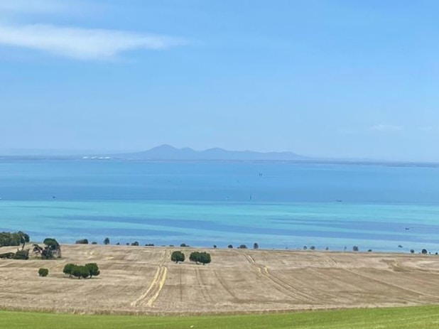 Go to Elle Leontiev's profile