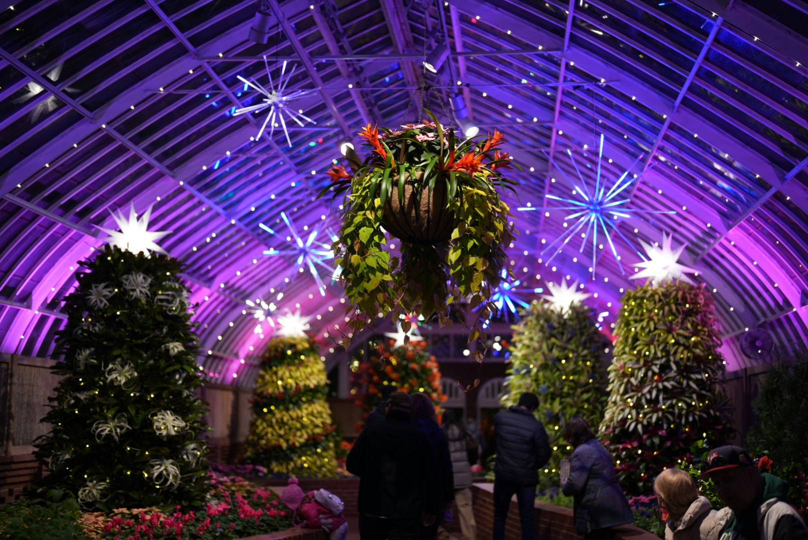 Zum Profil von zhendong wang