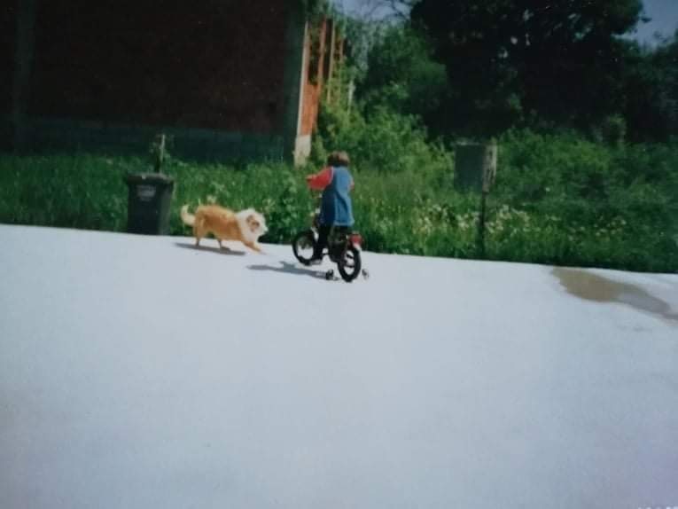 Go to Ena Alicehajic's profile