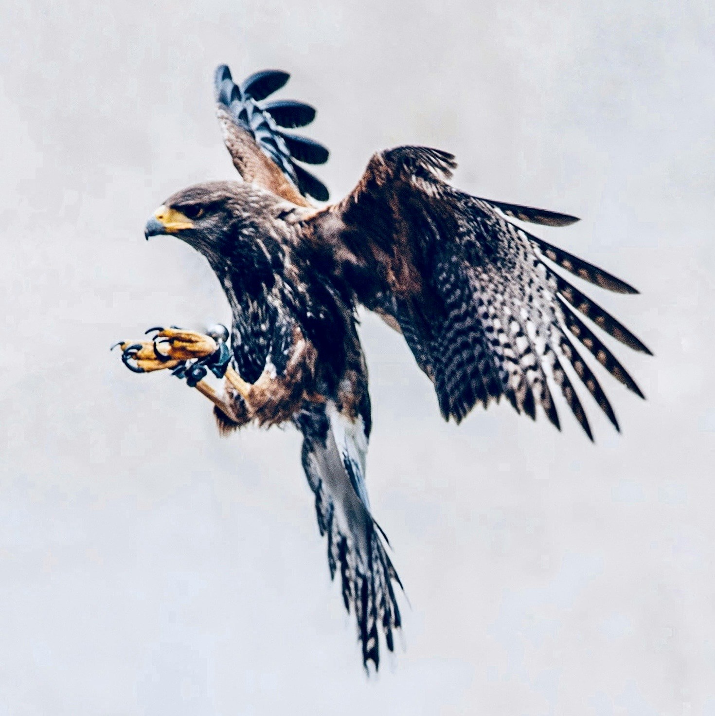 Go to Eric Yuan's profile