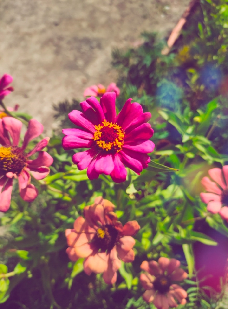 Zum Profil von Jitendra Verma