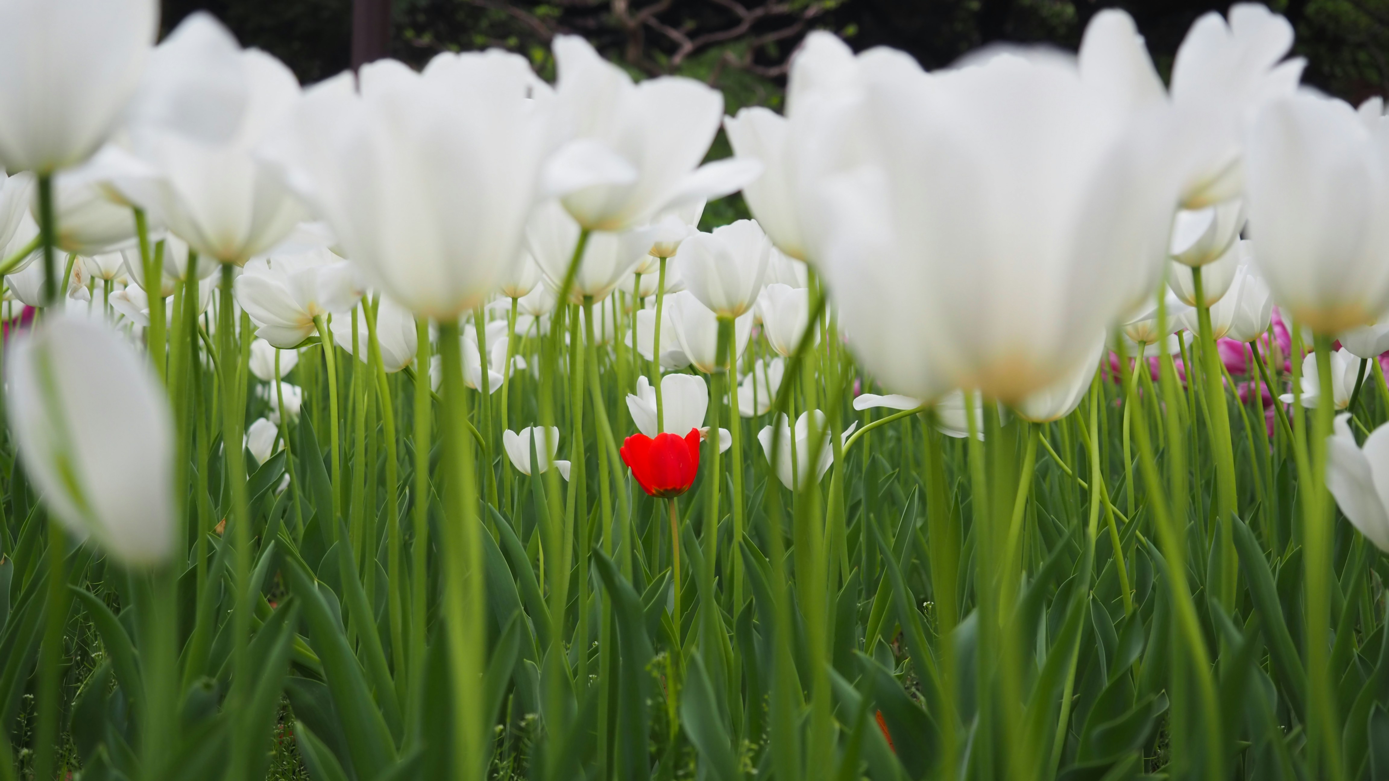 Go to yanagi's profile