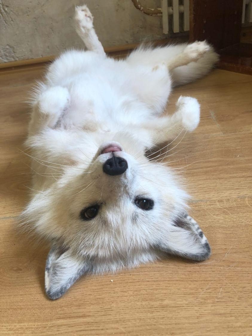 Go to Louis Lovera's profile