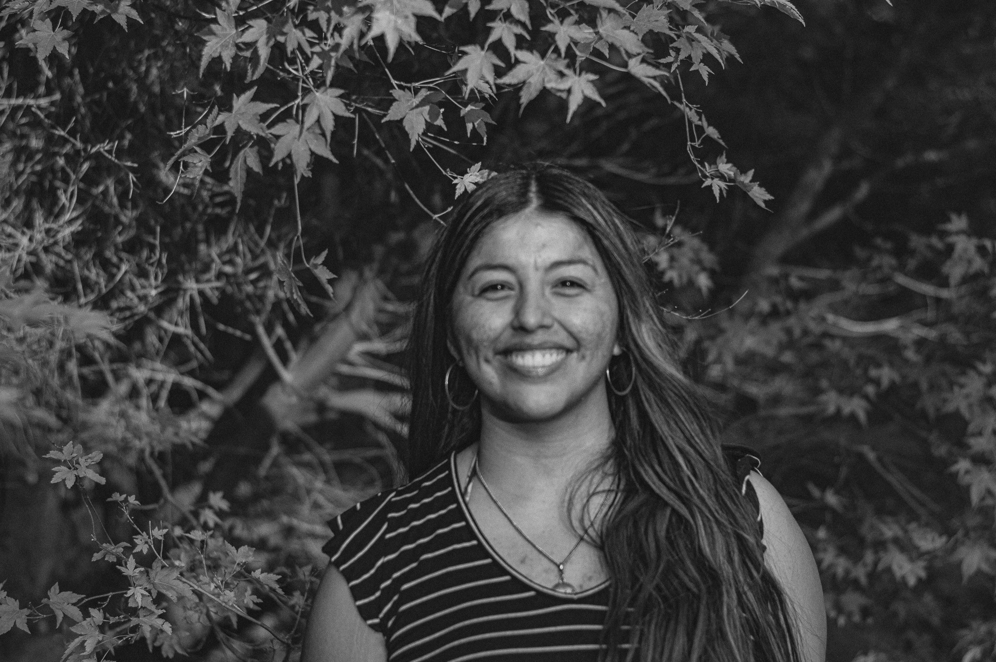 Go to Dámaris Azócar's profile