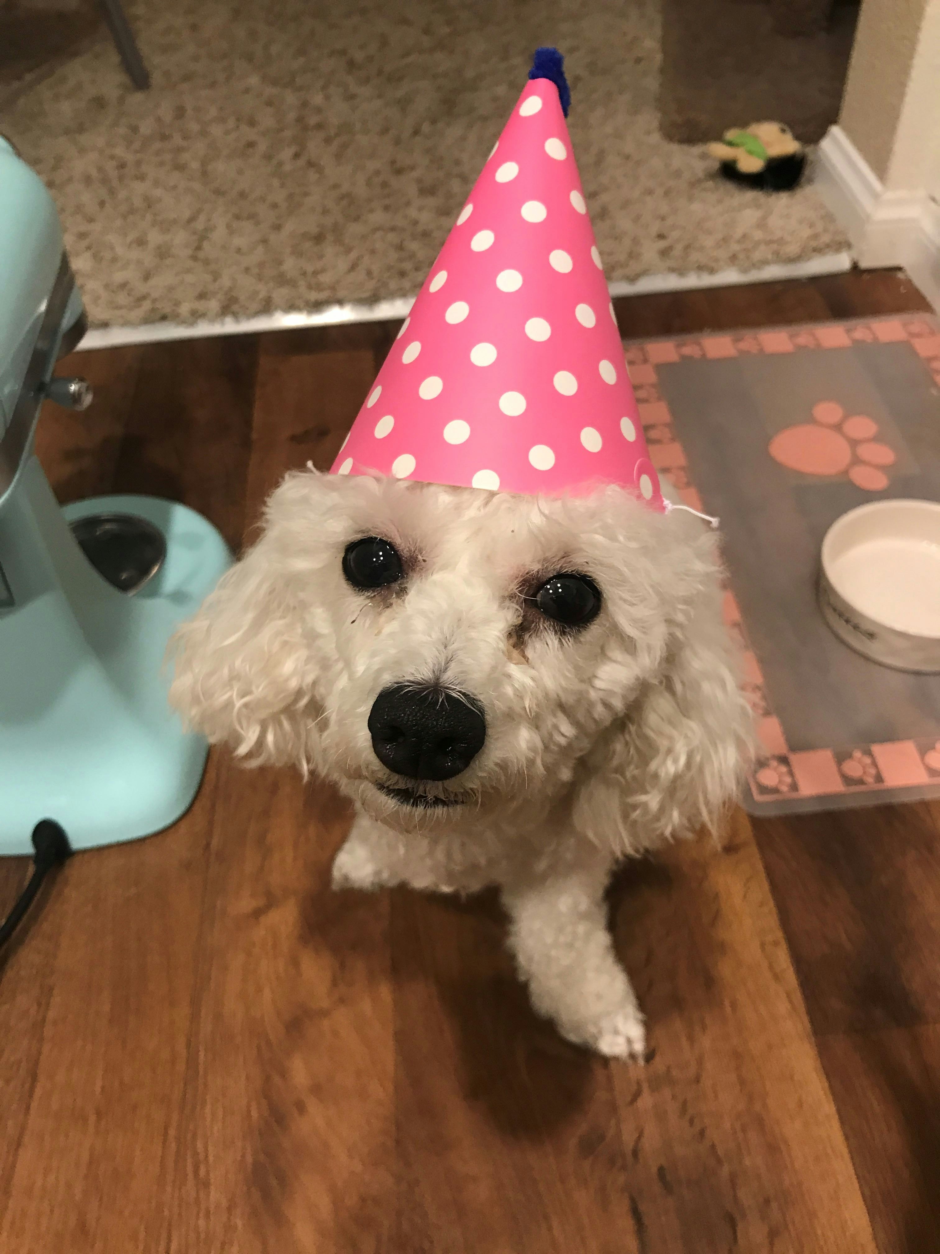 Go to Rena Zhu's profile