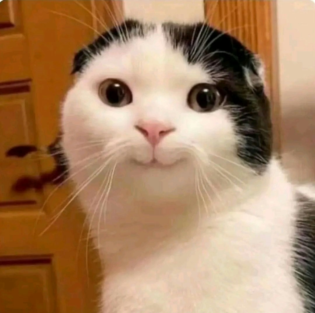 Accéder au profil de Md Mahtab