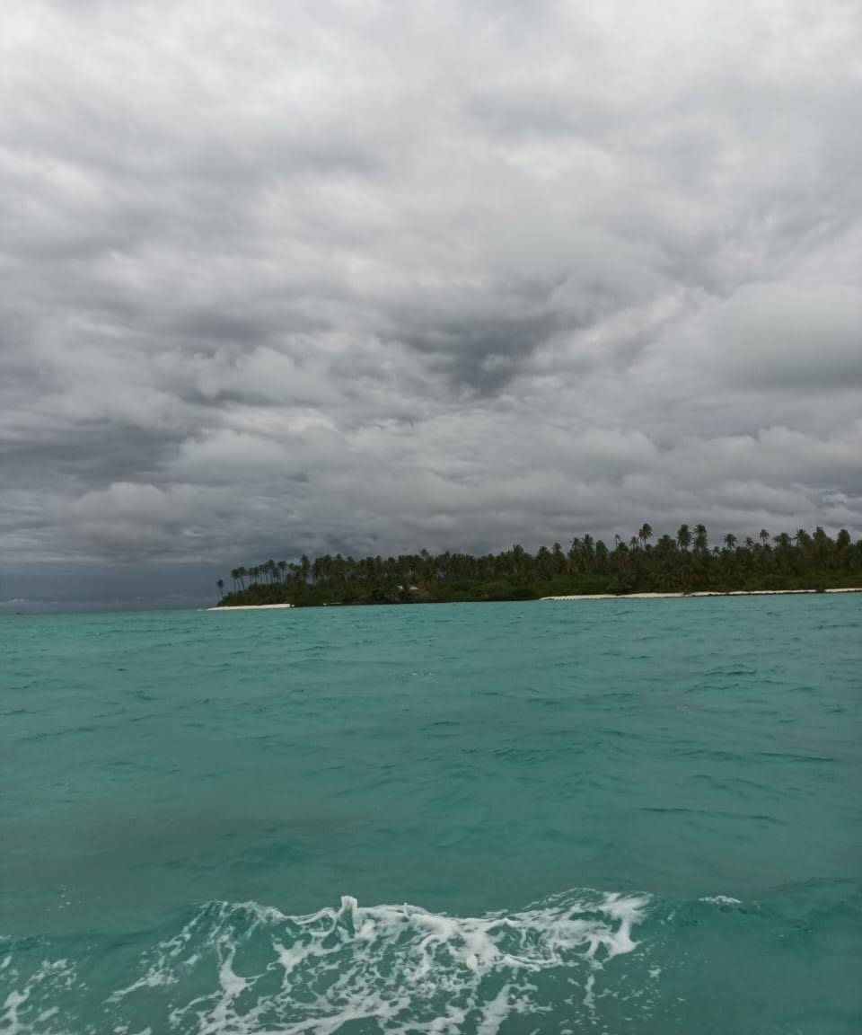 Go to Sriparna Pal's profile