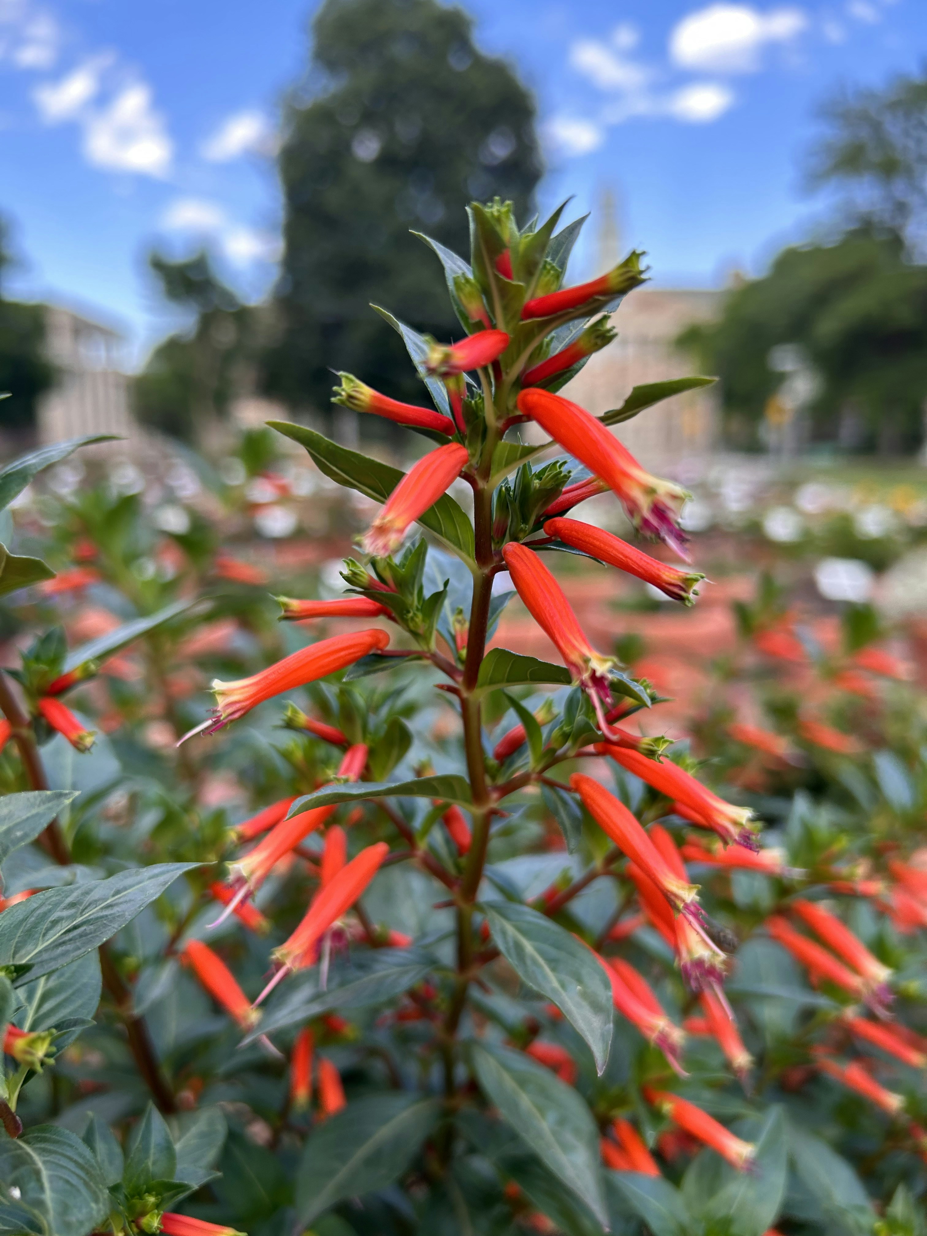 Go to Michael Smith's profile