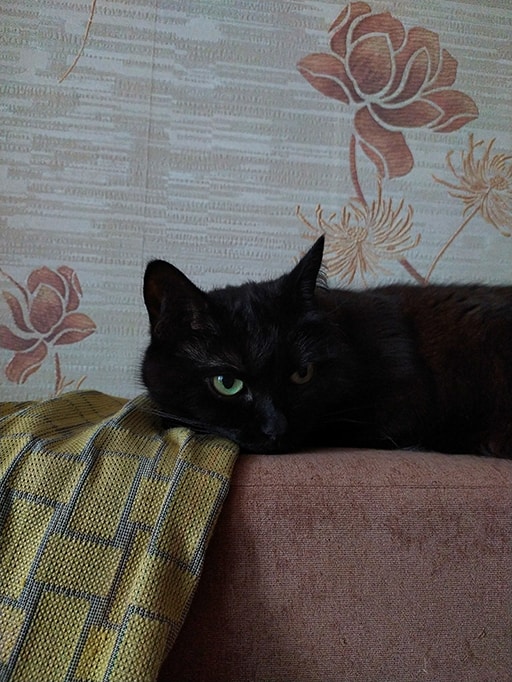 Ve al perfil de Maria Sidorkina