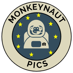 Go to Daniel Bargetze's profile