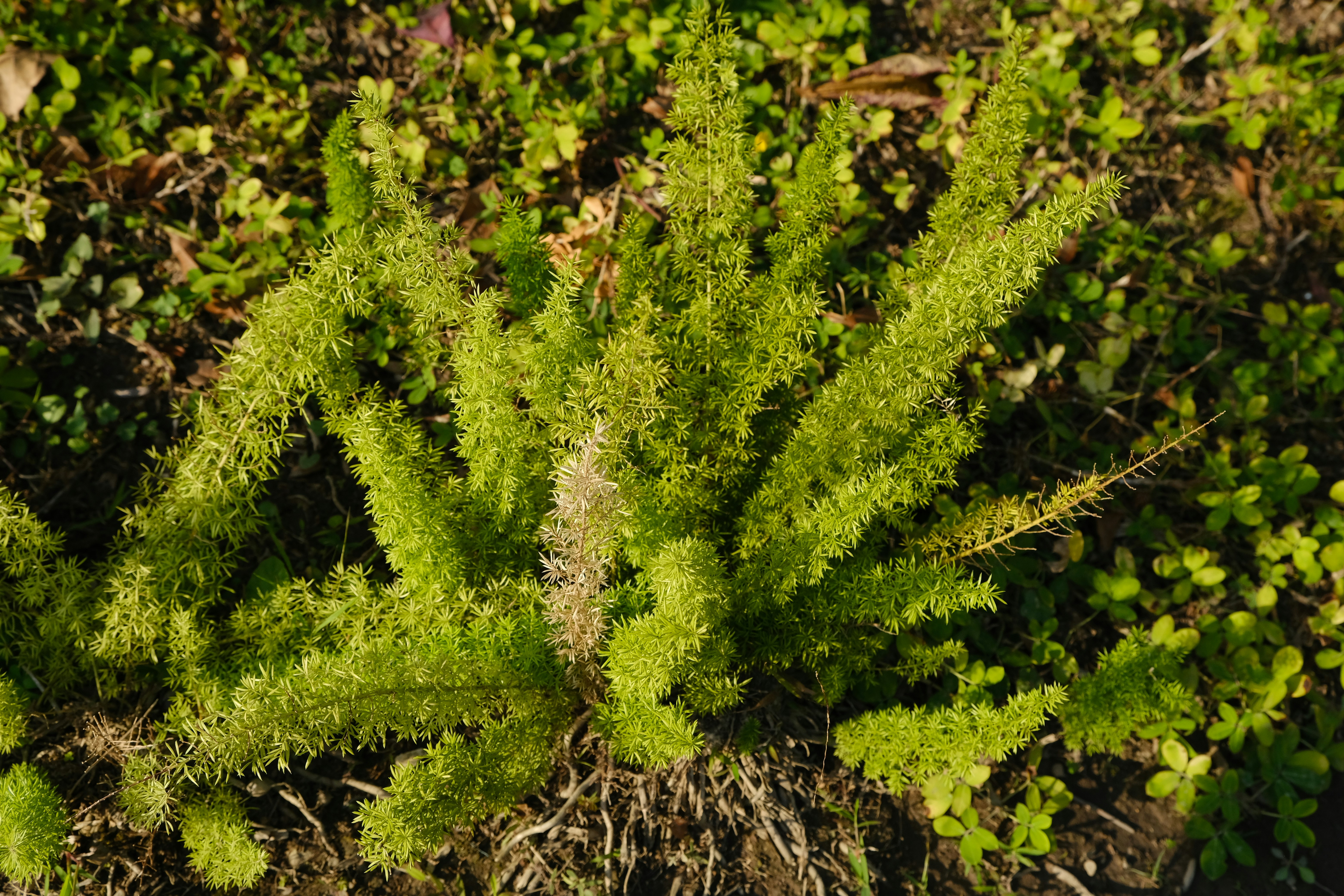 Go to Adalee Penguin's profile