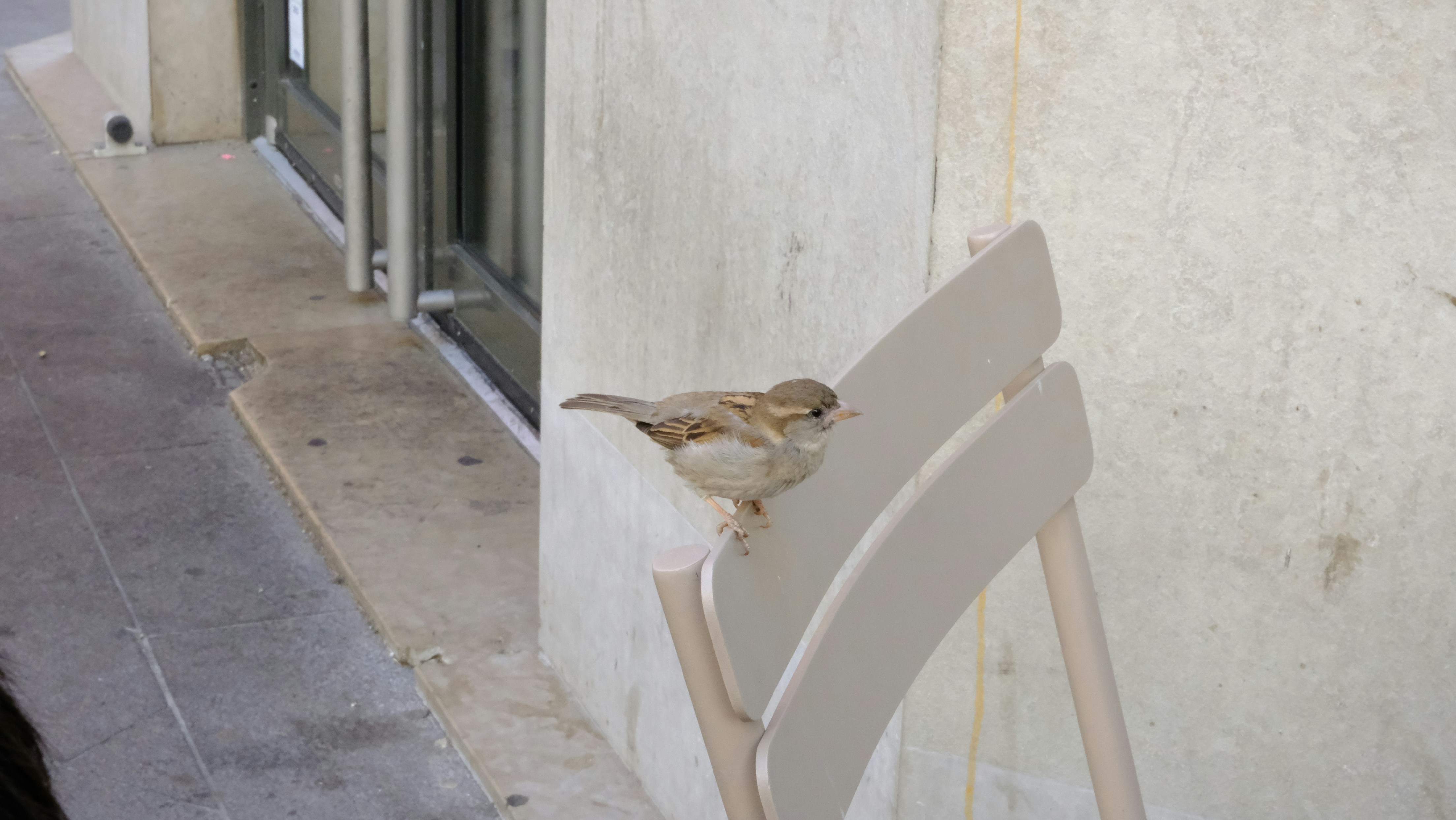 Go to Jackie Chua's profile