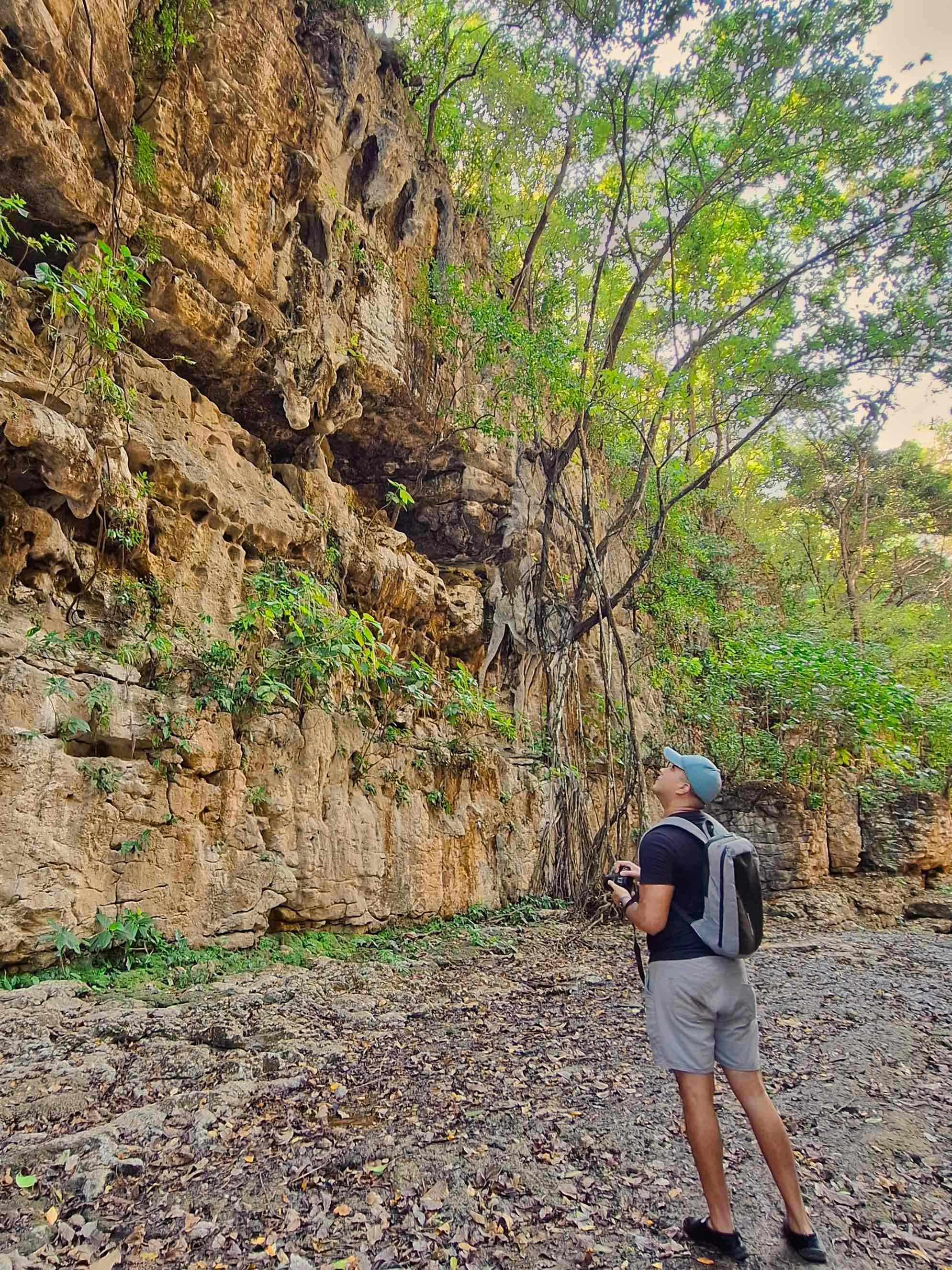 Capgemini’s Work-Life Balance The Inside Story