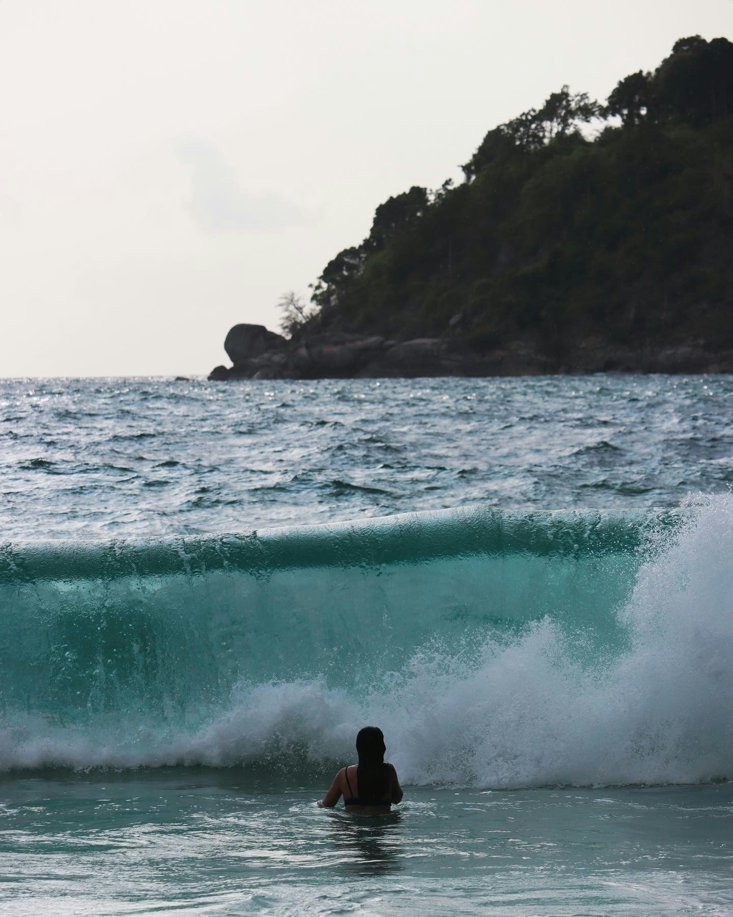 Go to Daniela Chintoiu's profile