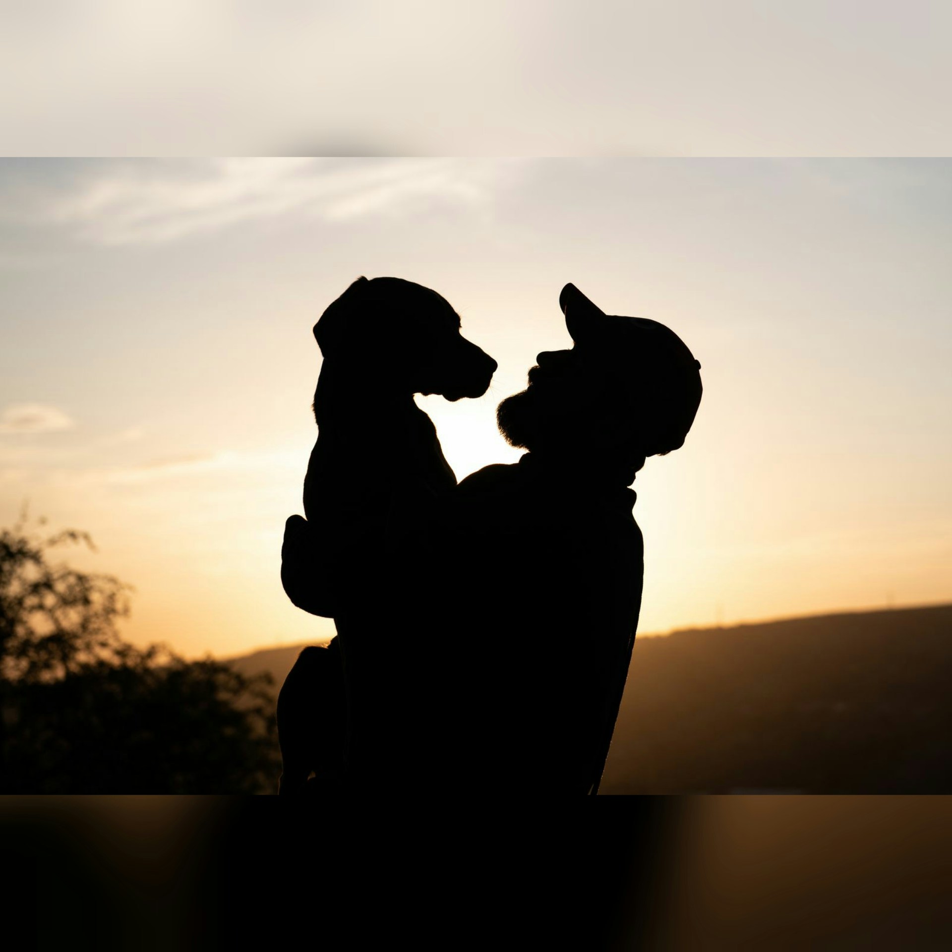 Go to Vineeth PV's profile