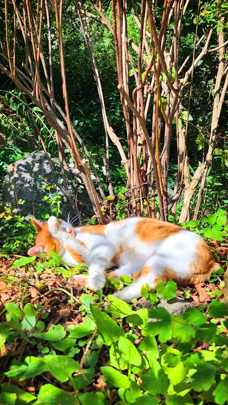 Go to Jiyeon Park's profile