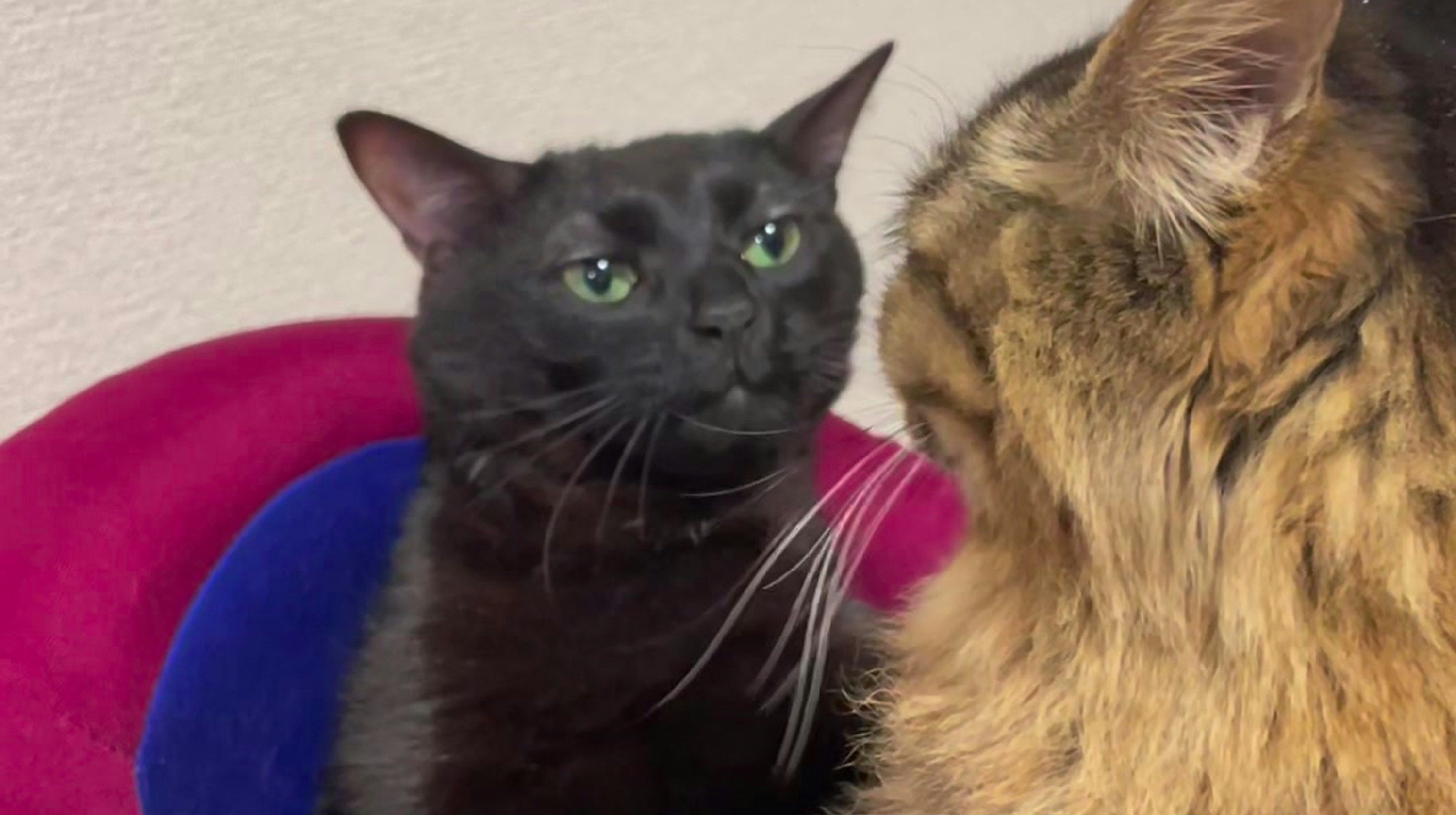 Go to Ifran Nijhum's profile