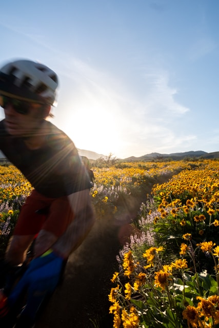 Go to Matt Walker's profile