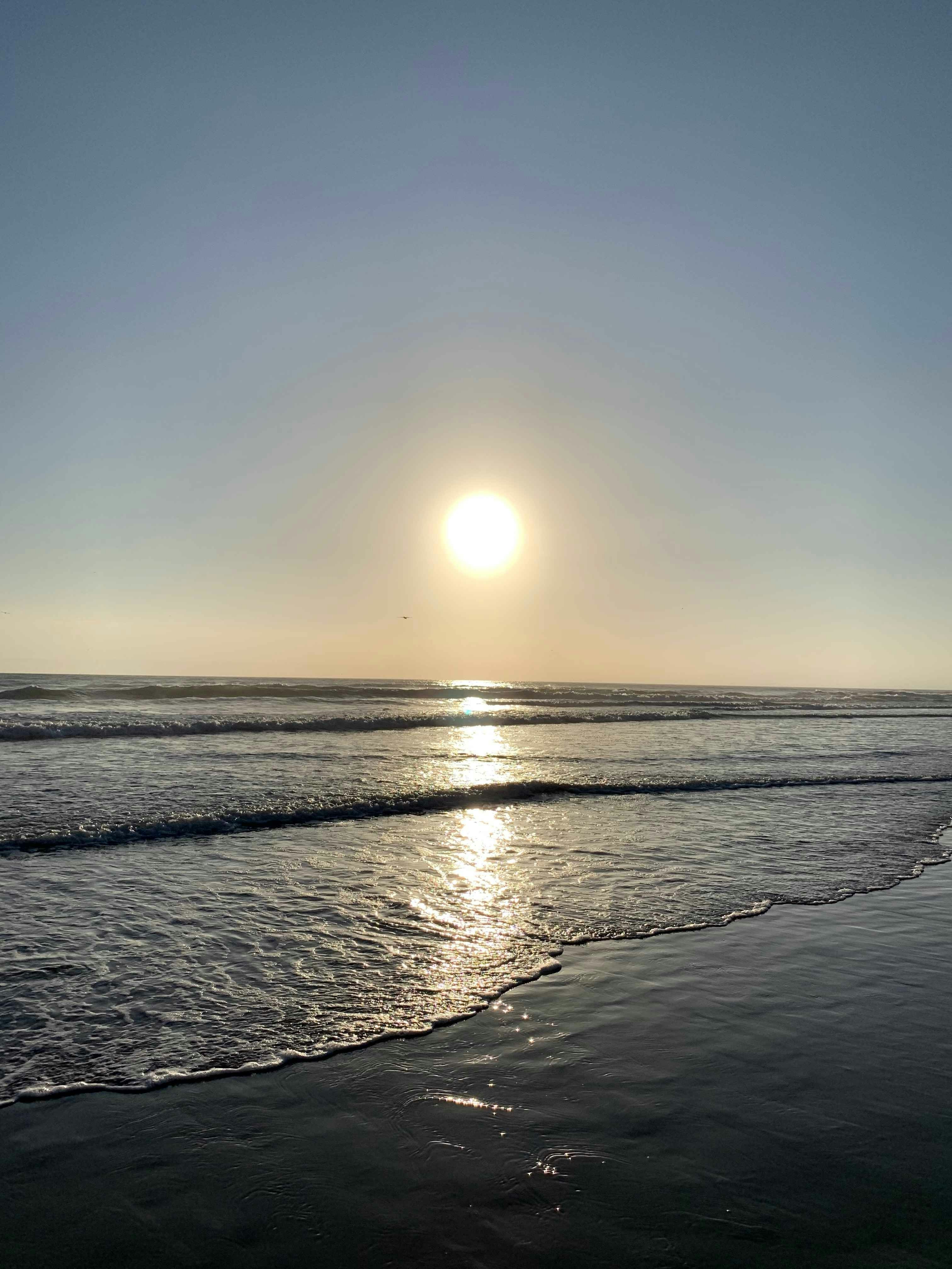 Accéder au profil de Martha E