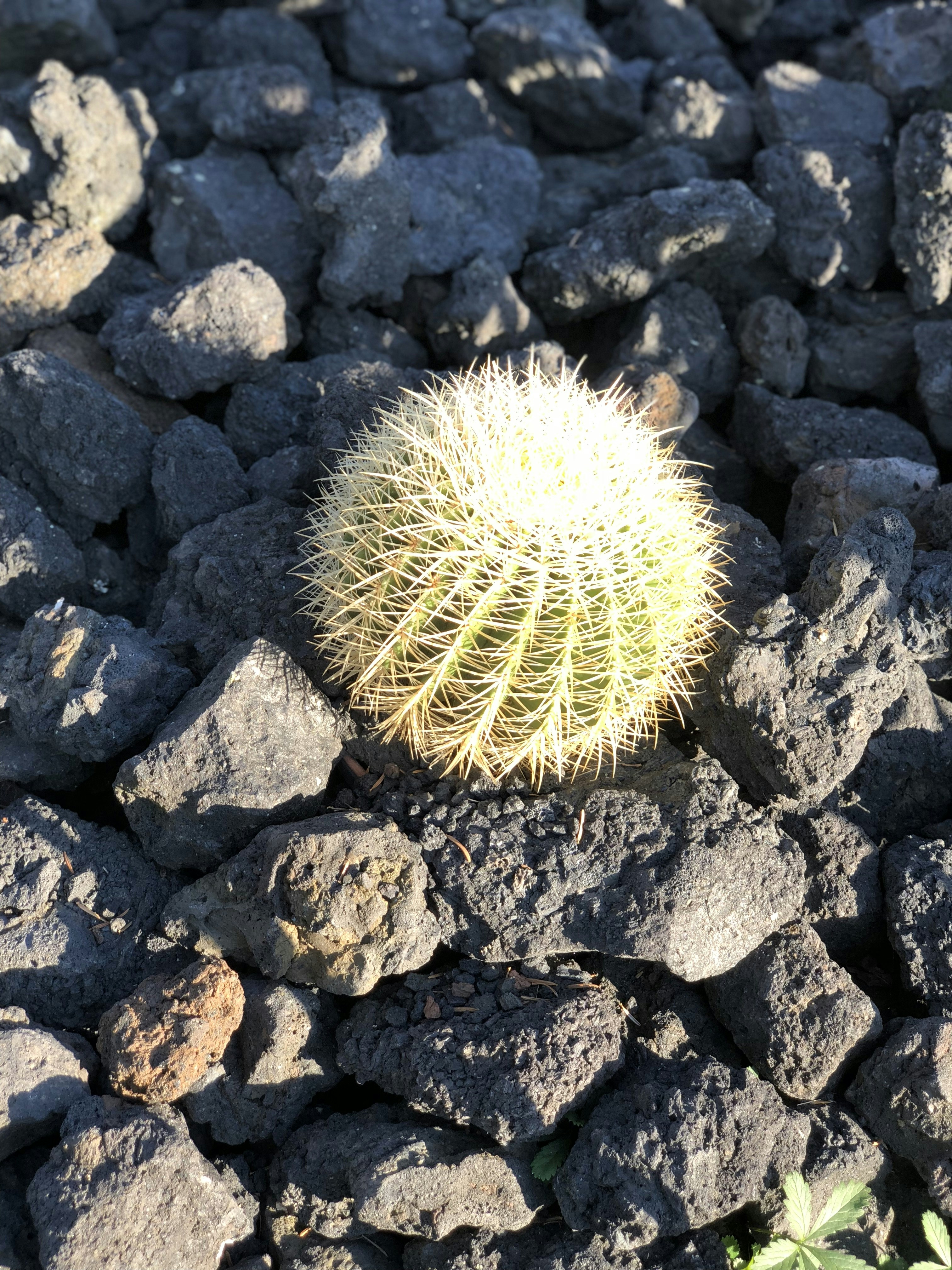 Go to Wald Creations's profile