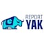 Avatar of user Annual Report Design Agency - Report Yak