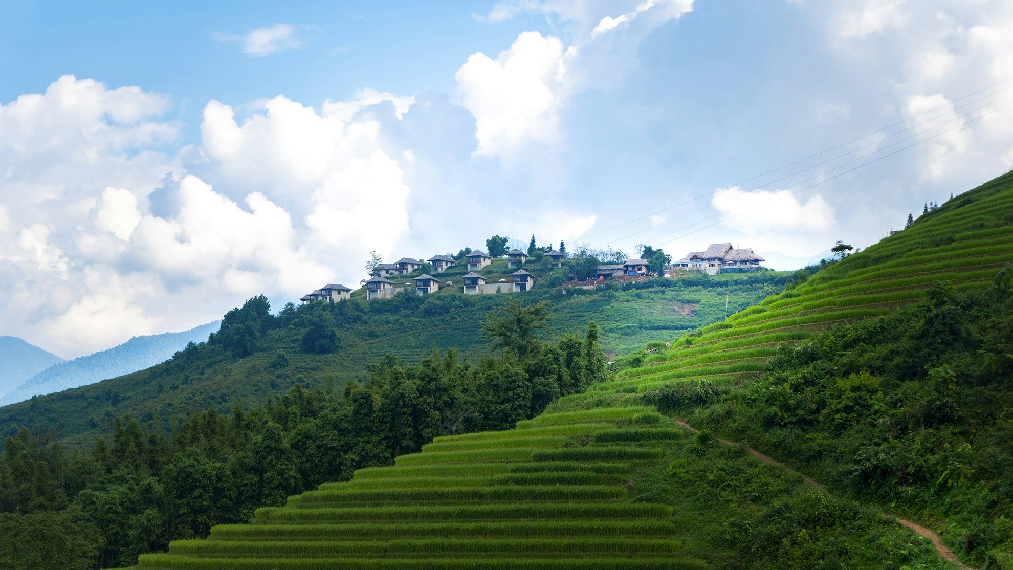 Go to Marius Katz's profile