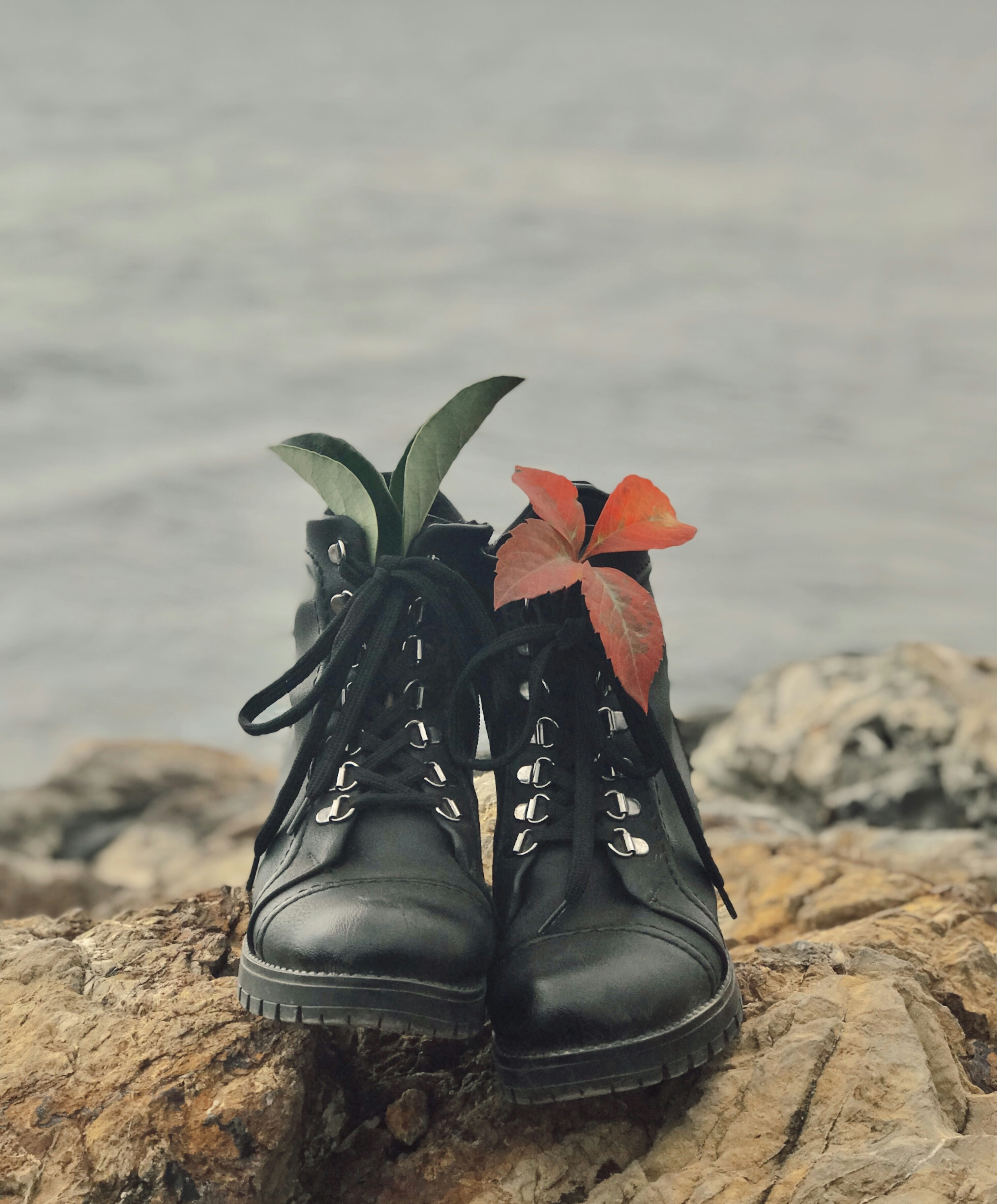 Go to M u h t e l i f's profile