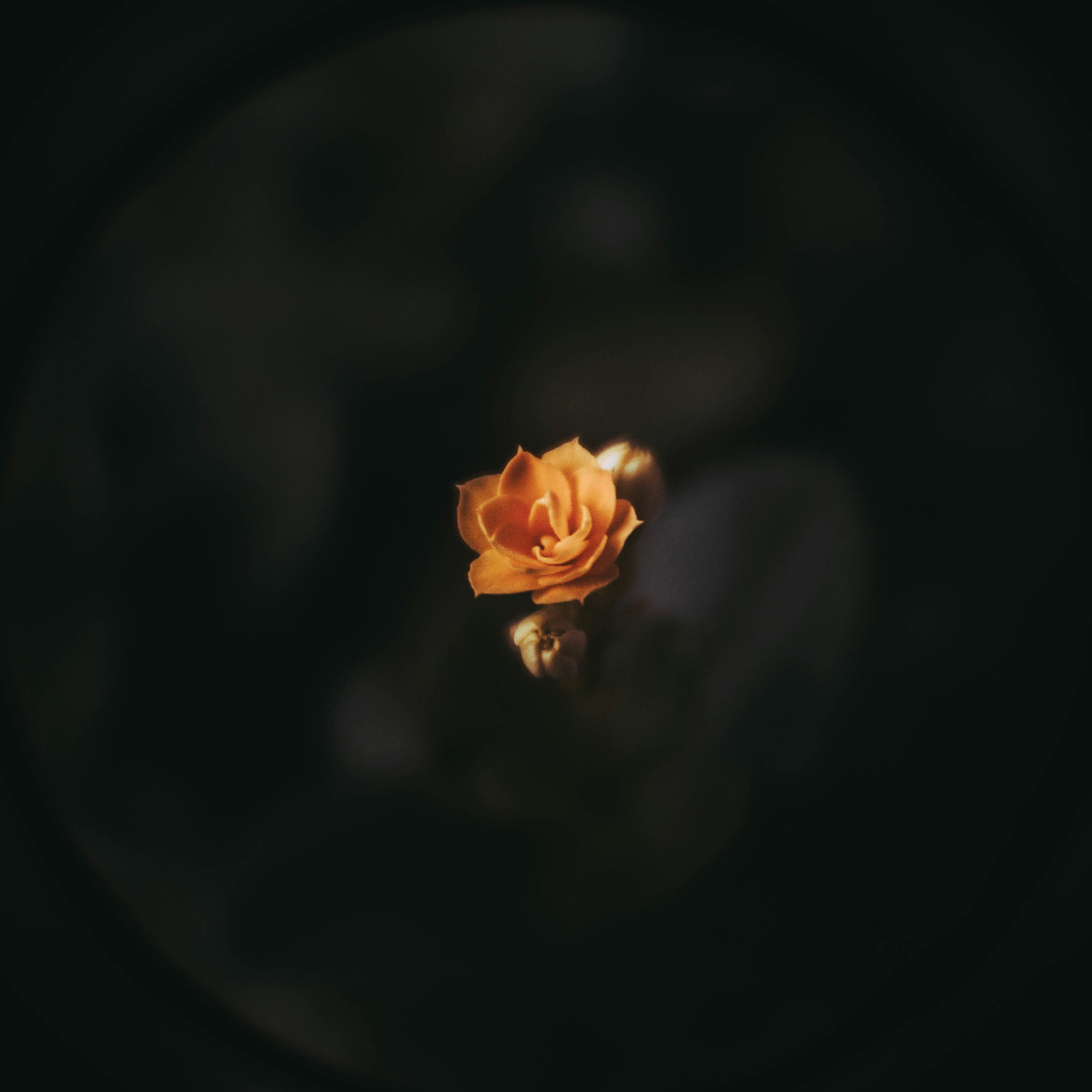 Go to River Fx's profile