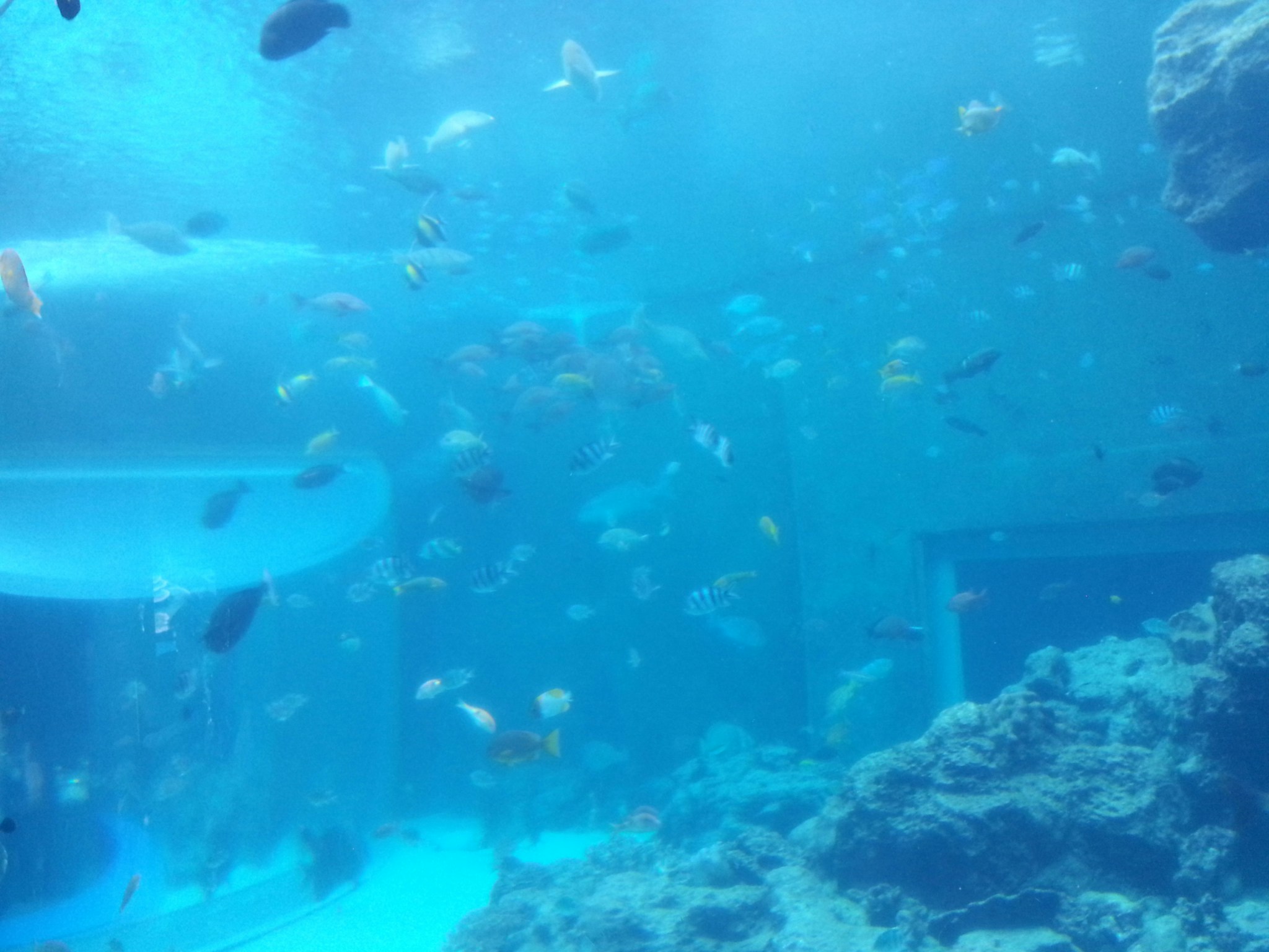 Go to さいとう/ saitousai's profile