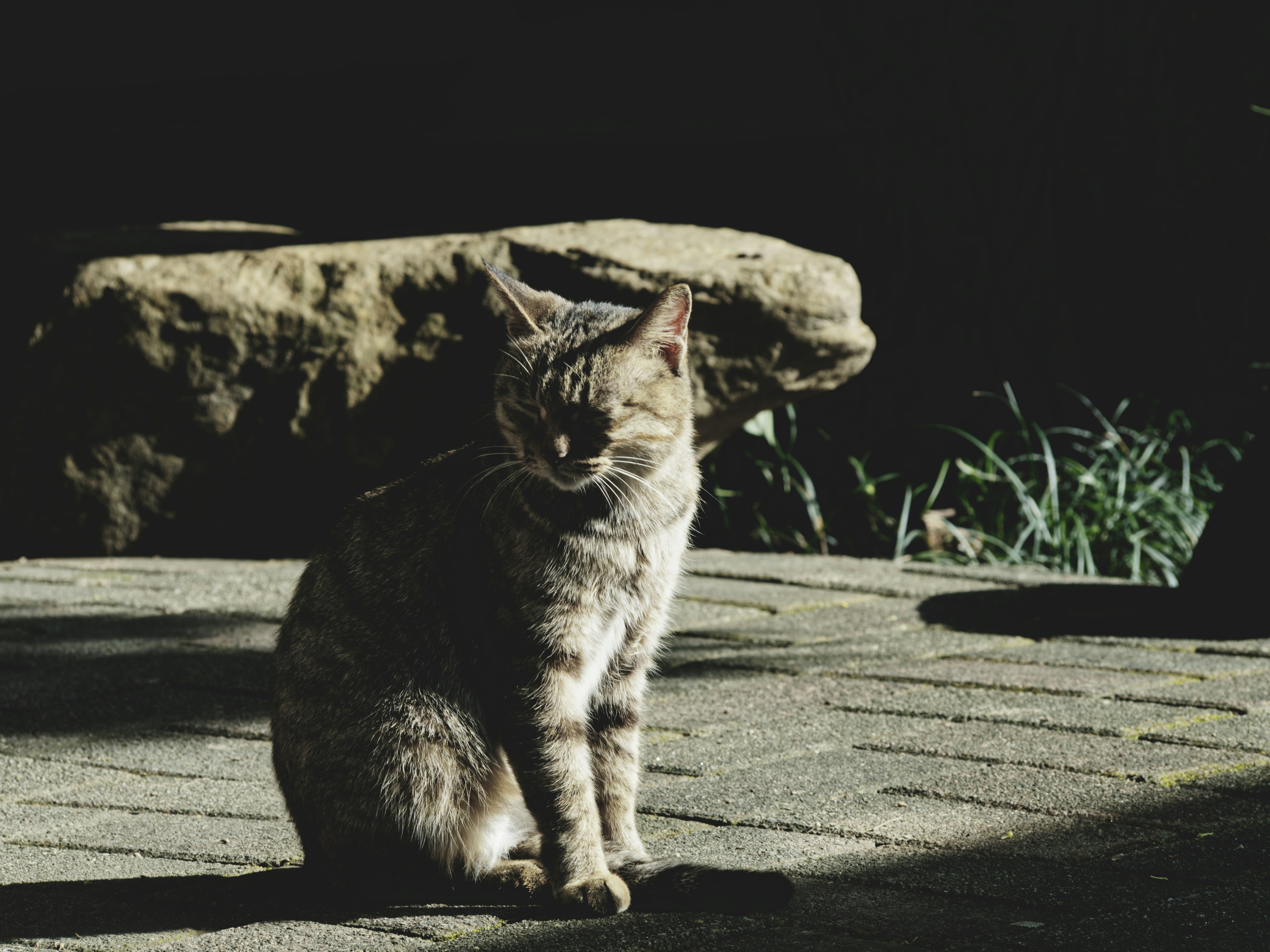 Go to Ted Smiths's profile