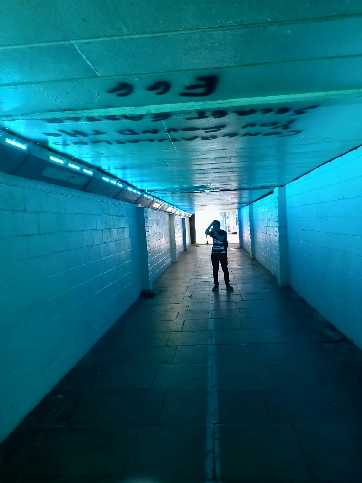 Go to Eren Demir's profile