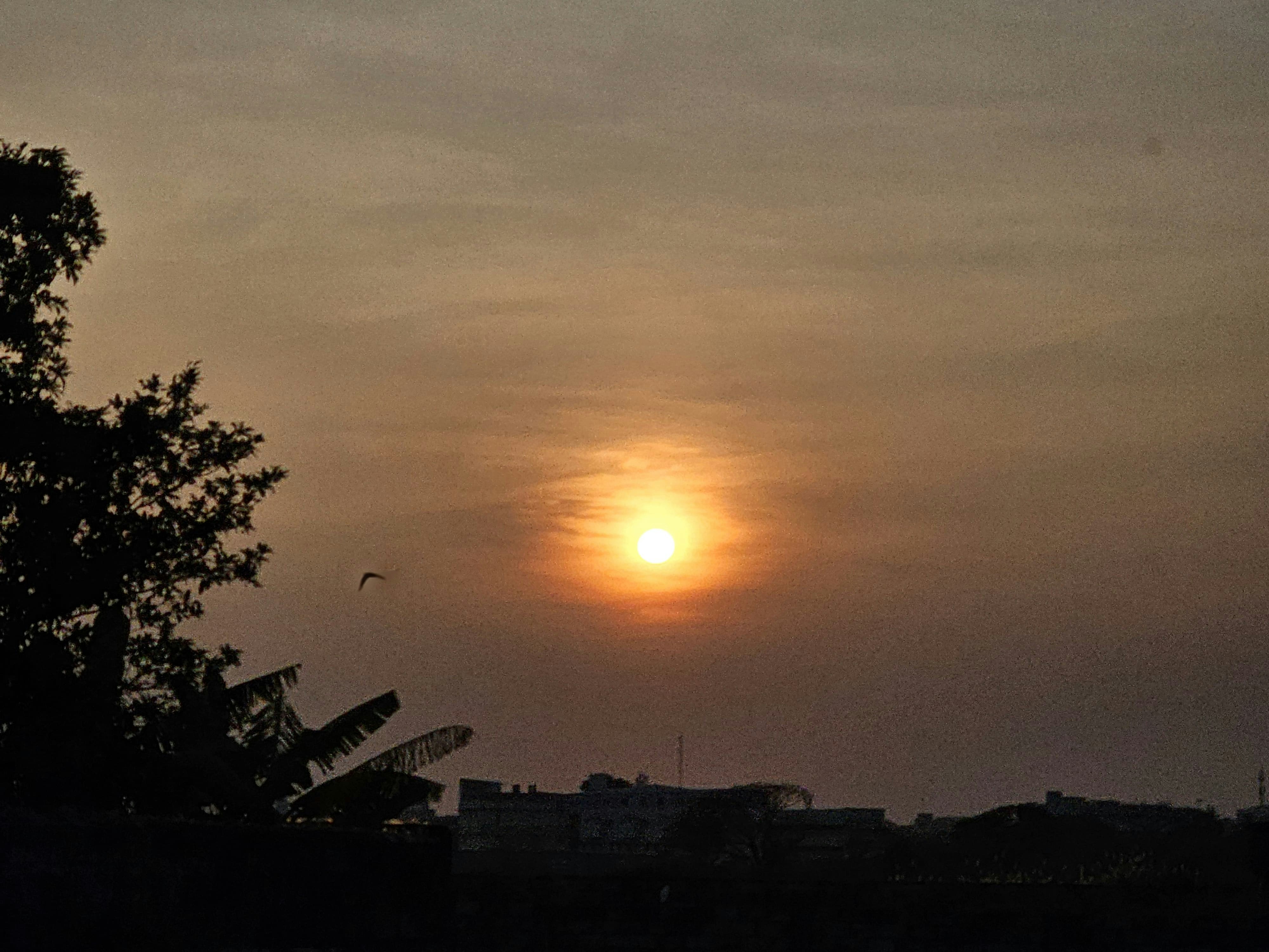 Avatar of user Maanas Muruganandan