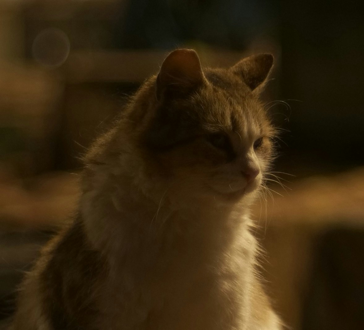 Go to 11th gate's profile