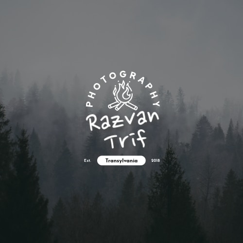 Go to Razvan Trif's profile