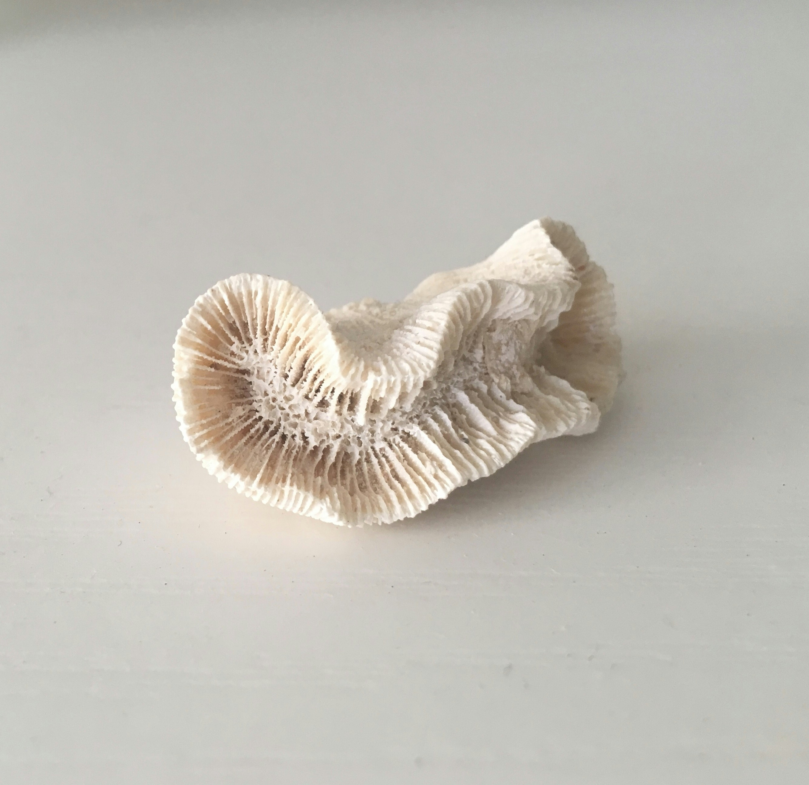 Go to Alli Stefanova's profile