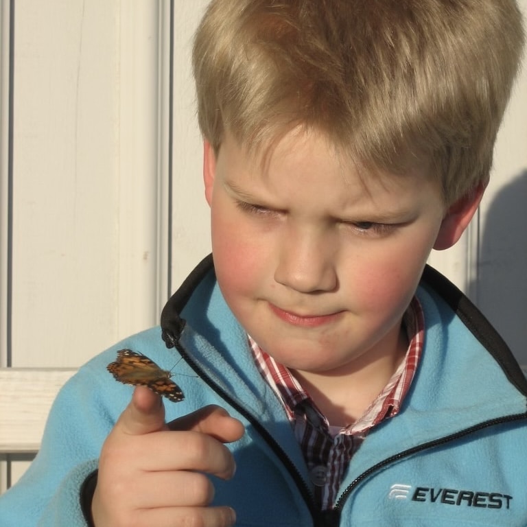 Zum Profil von Axel Josefsson