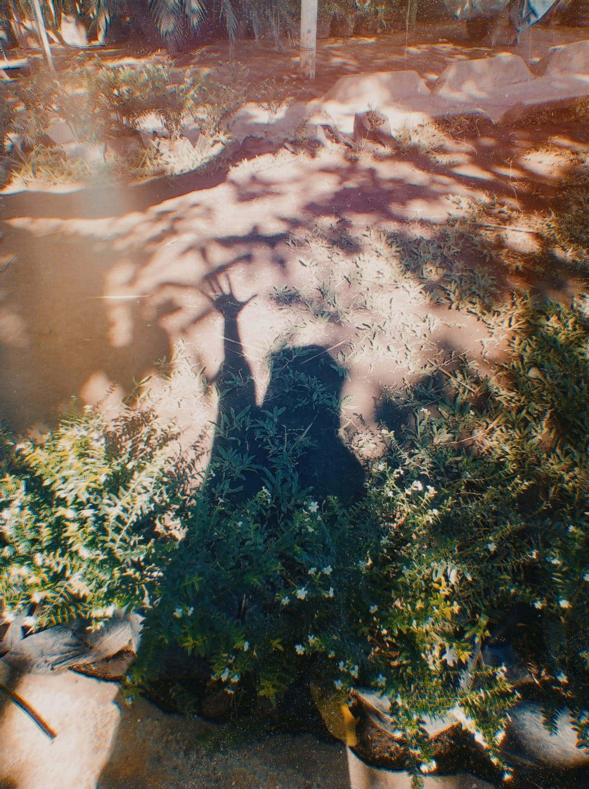 Ve al perfil de Ainun Balada