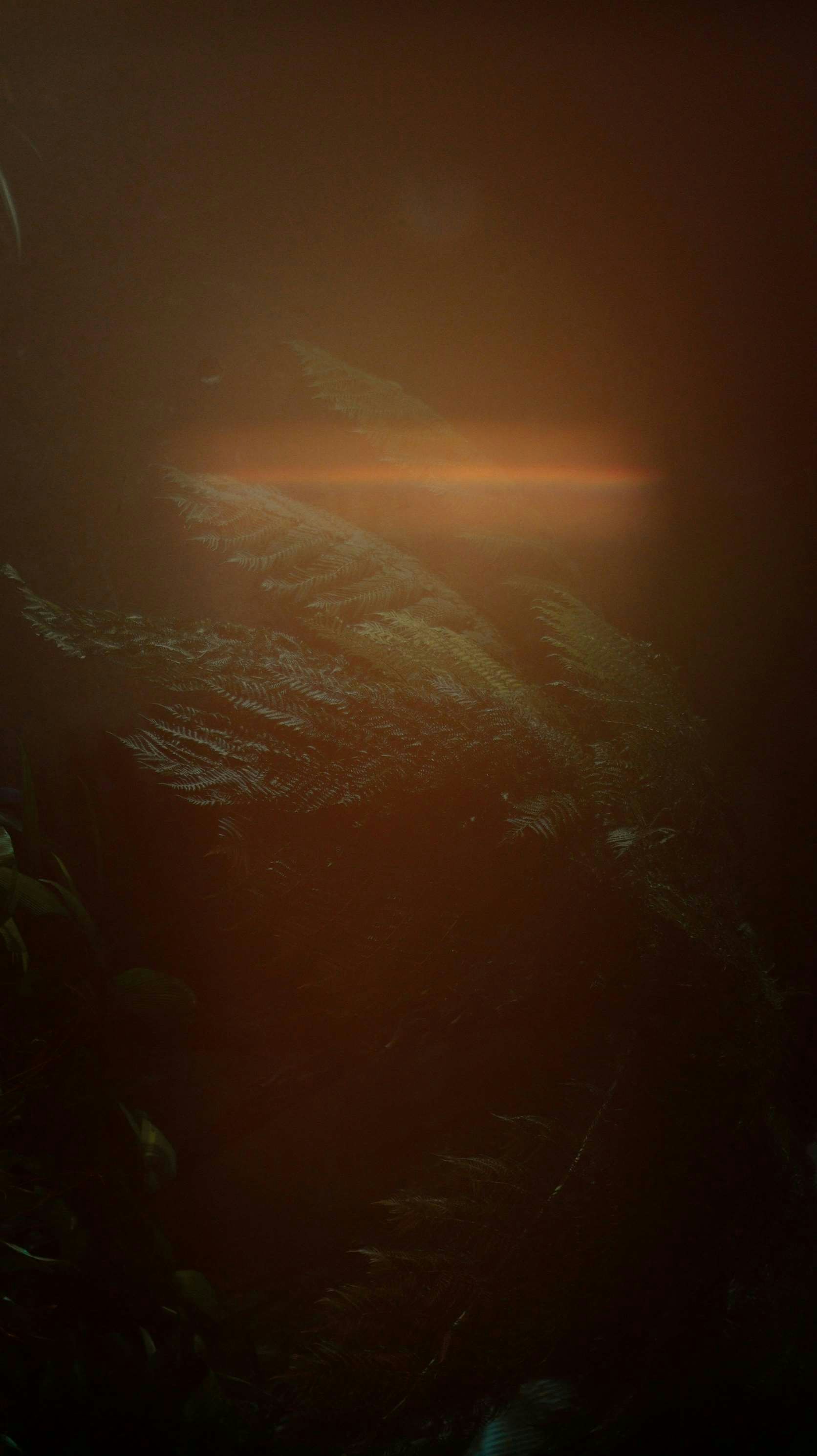 Avatar of user Sam Tsonis