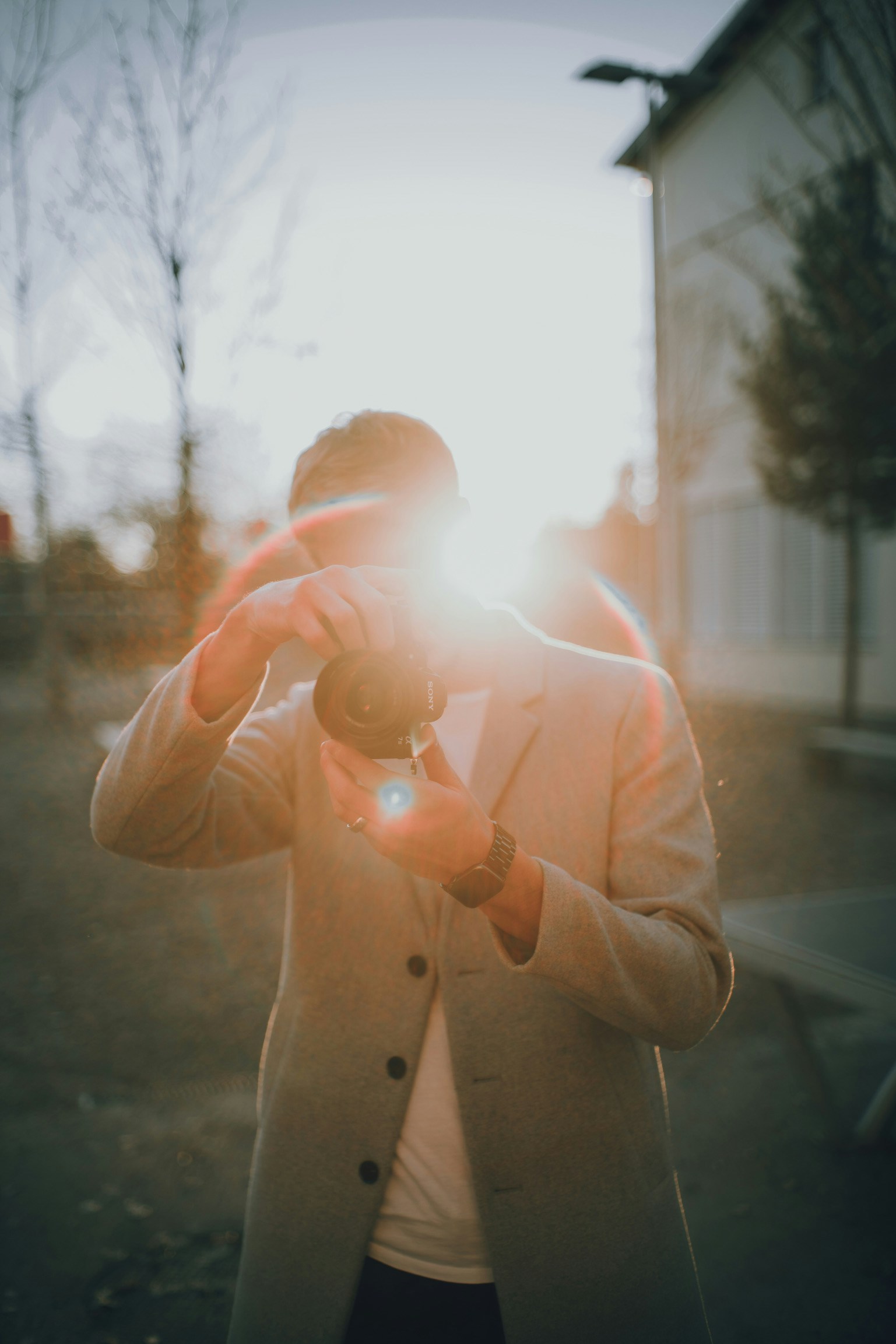 Avatar of user Tikva