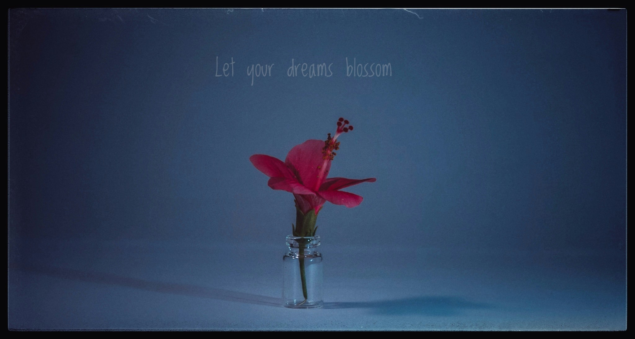 Accéder au profil de pranav adarsh