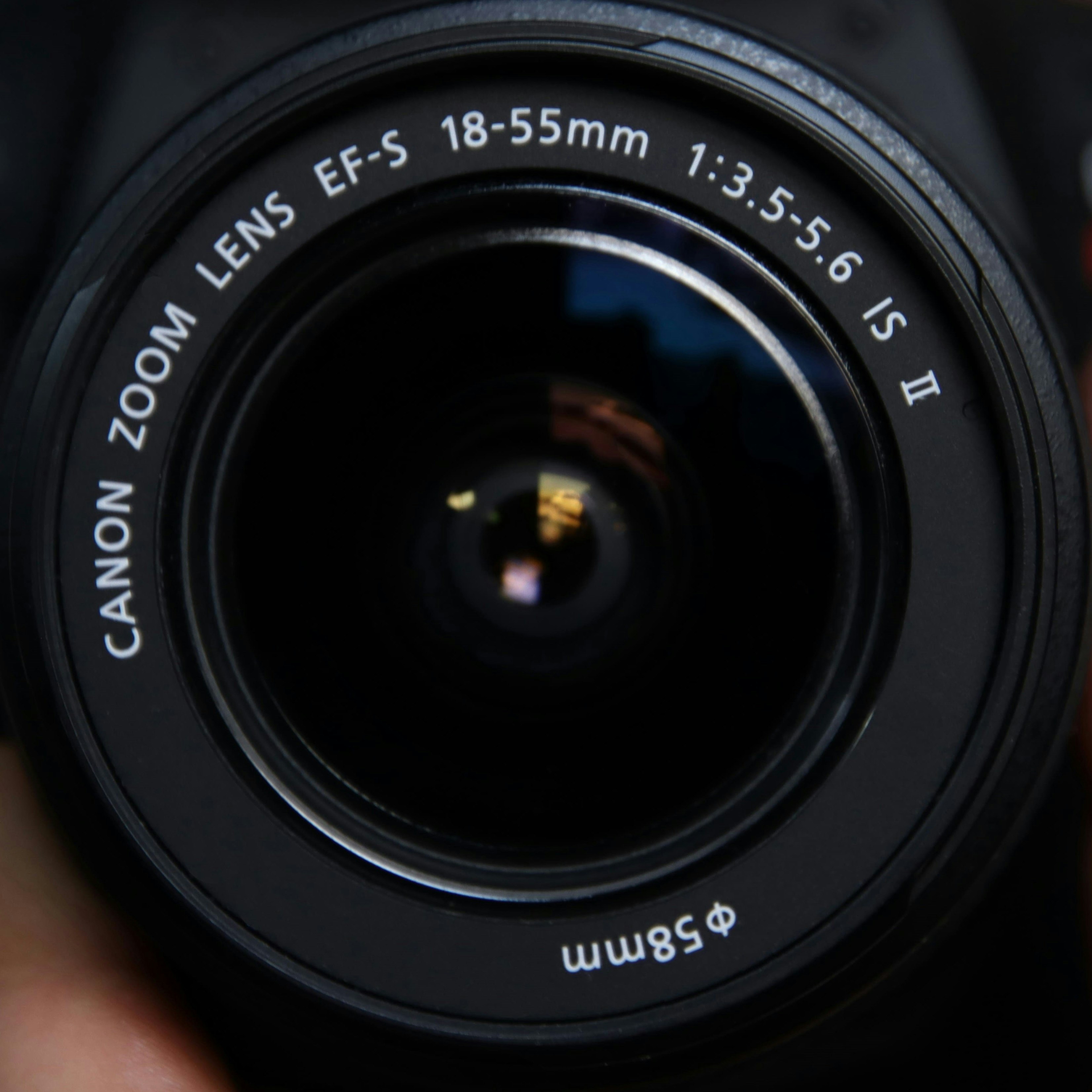 Go to Andrew W's profile